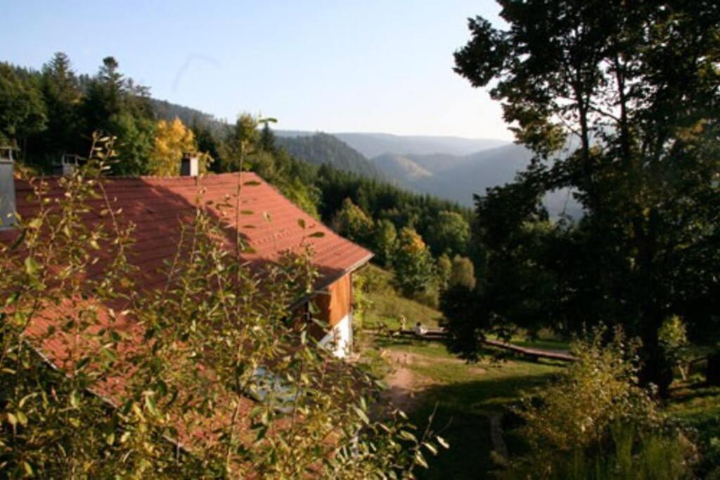 Appartement Dans Vielle Ferme Au Coeur Des Vosges Plainfaing Exterior foto