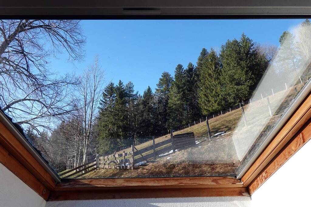 Appartement Dans Vielle Ferme Au Coeur Des Vosges Plainfaing Exterior foto