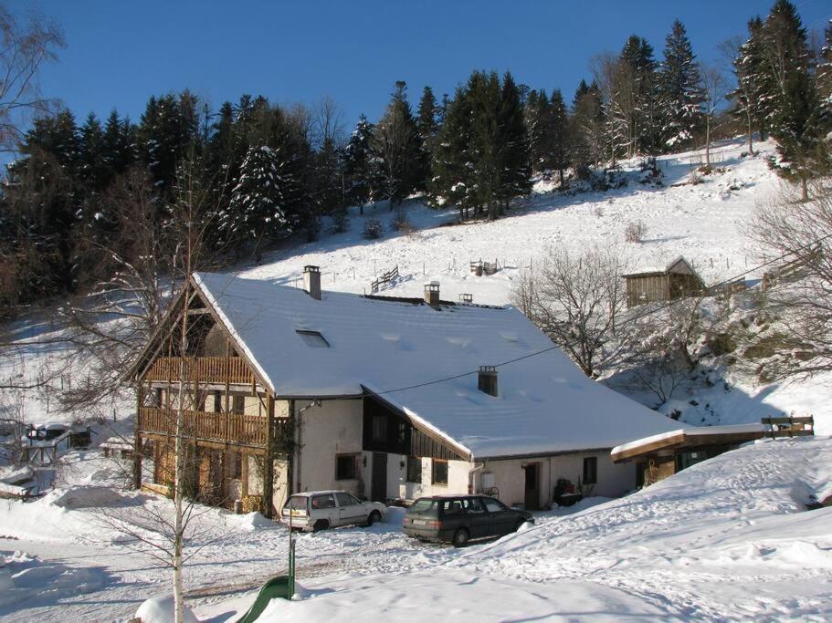 Appartement Dans Vielle Ferme Au Coeur Des Vosges Plainfaing Exterior foto