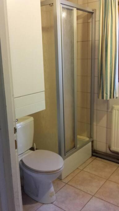 Appartement Dans Vielle Ferme Au Coeur Des Vosges Plainfaing Exterior foto